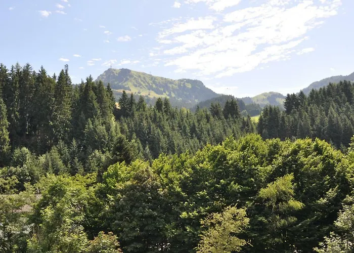 Appartement Kitzbuehel Mit Dachterrasse